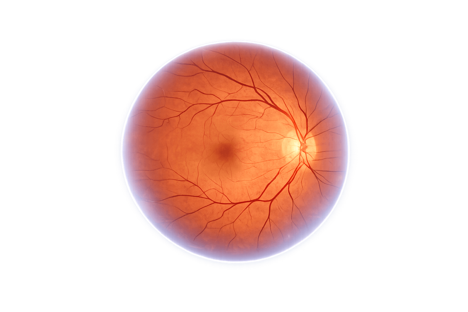 Retina scan